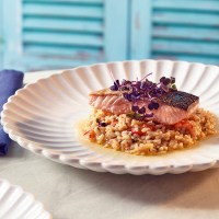 InciseScallopedCoupePlate
